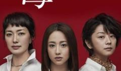 日本妈妈电视剧,育儿智慧与家庭幸福的秘诀